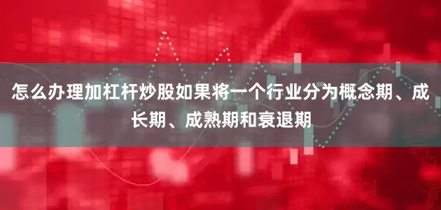 怎么办理加杠杆炒股如果将一个行业分为概念期、成长期、成熟期和衰退期