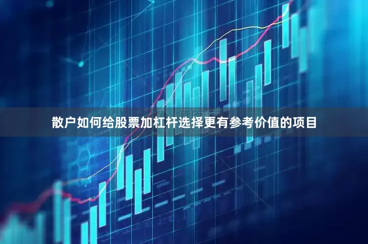 散户如何给股票加杠杆选择更有参考价值的项目