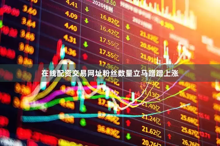 在线配资交易网址粉丝数量立马蹭蹭上涨